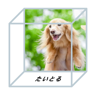 キューブの写真タイトル