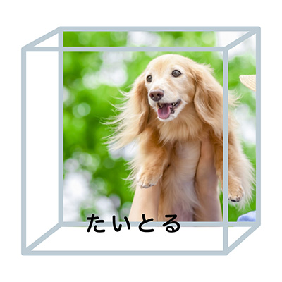スクエアの写真タイトル