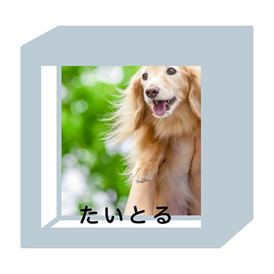フォトフレームの写真タイトル